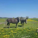 Ruheoase An Der Seenplatte Objekt-id 12030-3