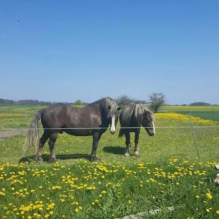 Ruheoase An Der Seenplatte Objekt-id 12030-3