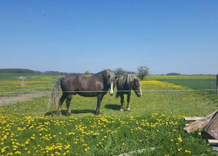 Ruheoase An Der Seenplatte Objekt-id 12030-3